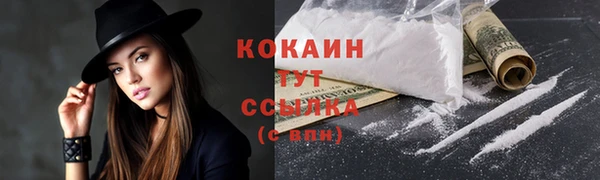дмт Лагань