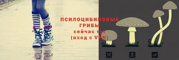 хмурый Кулебаки