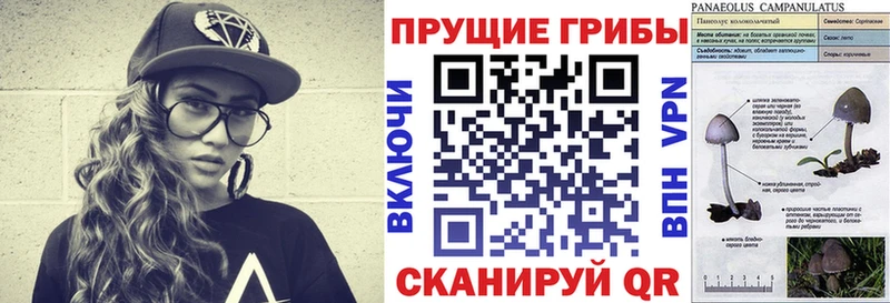 Купить  Лабытнанги  Псилоцибиновые грибы мицелий 
